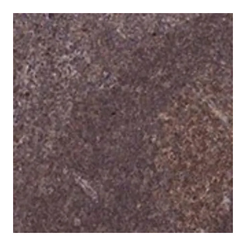 Merck Anti-PRDM1 antibody produced in rabbit