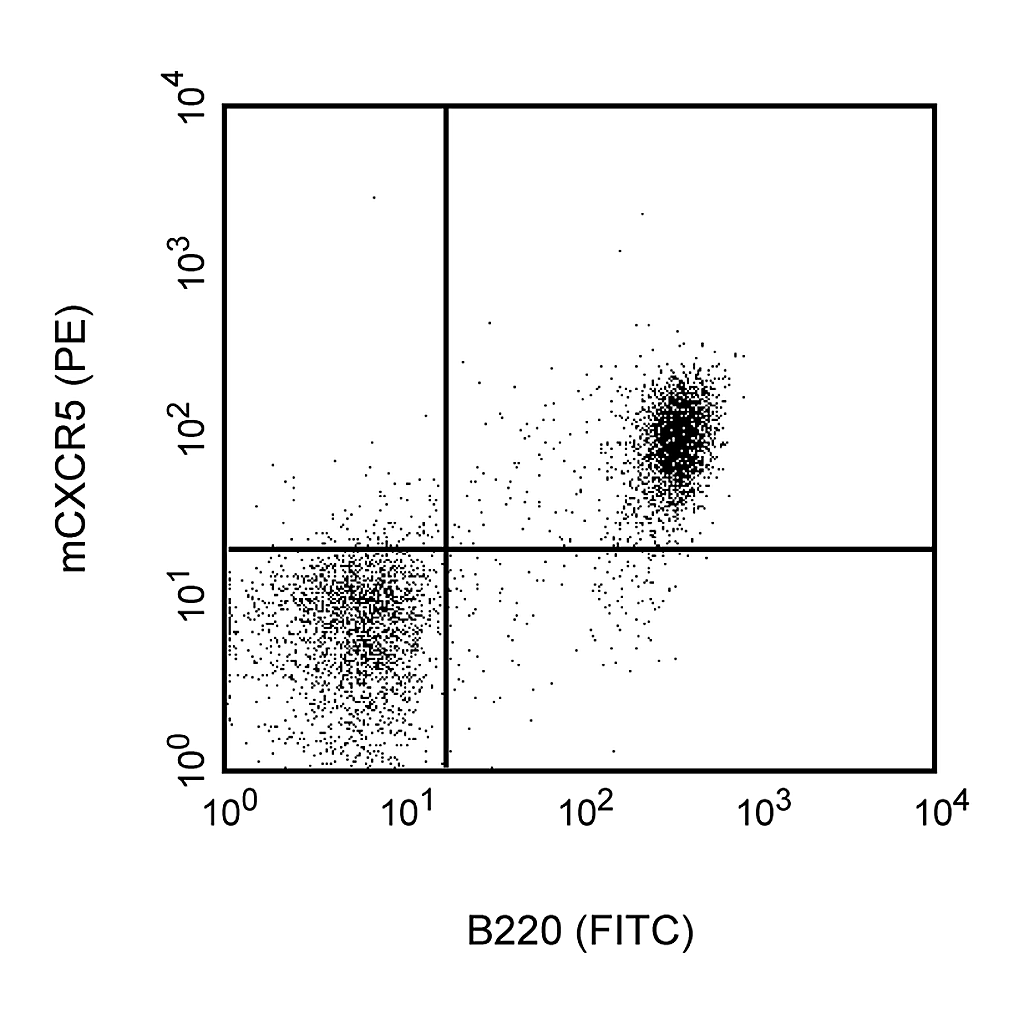 BD PE Rat Anti-Mouse CD185 (CXCR5)