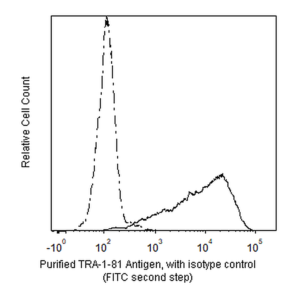 BD Purified Mouse anti-Human TRA-1-81 Antigen