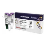 Thermo Fisher Scientific FastDigest EheI, 20 μL (20 Reactions)