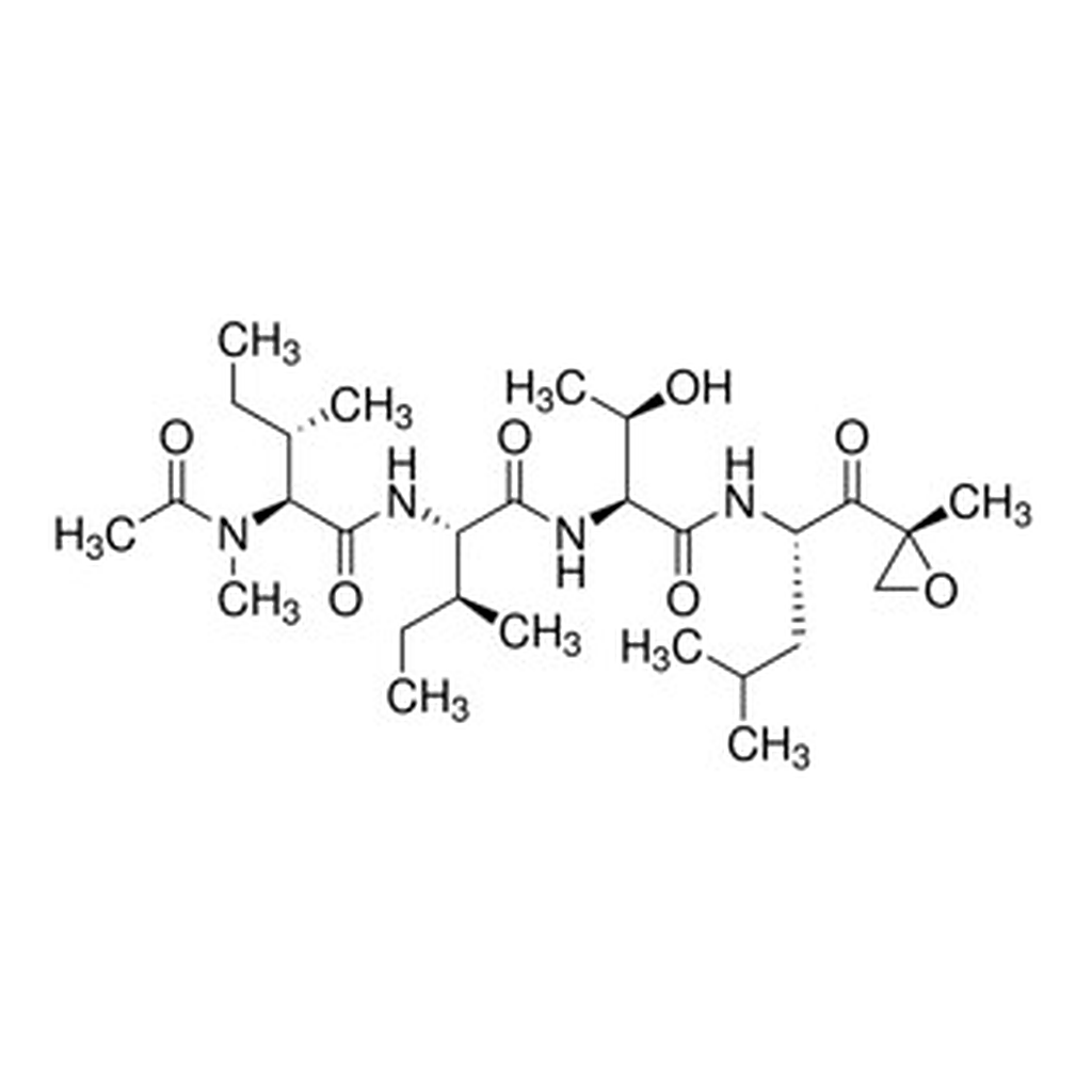Merck EPOXOMICIN
