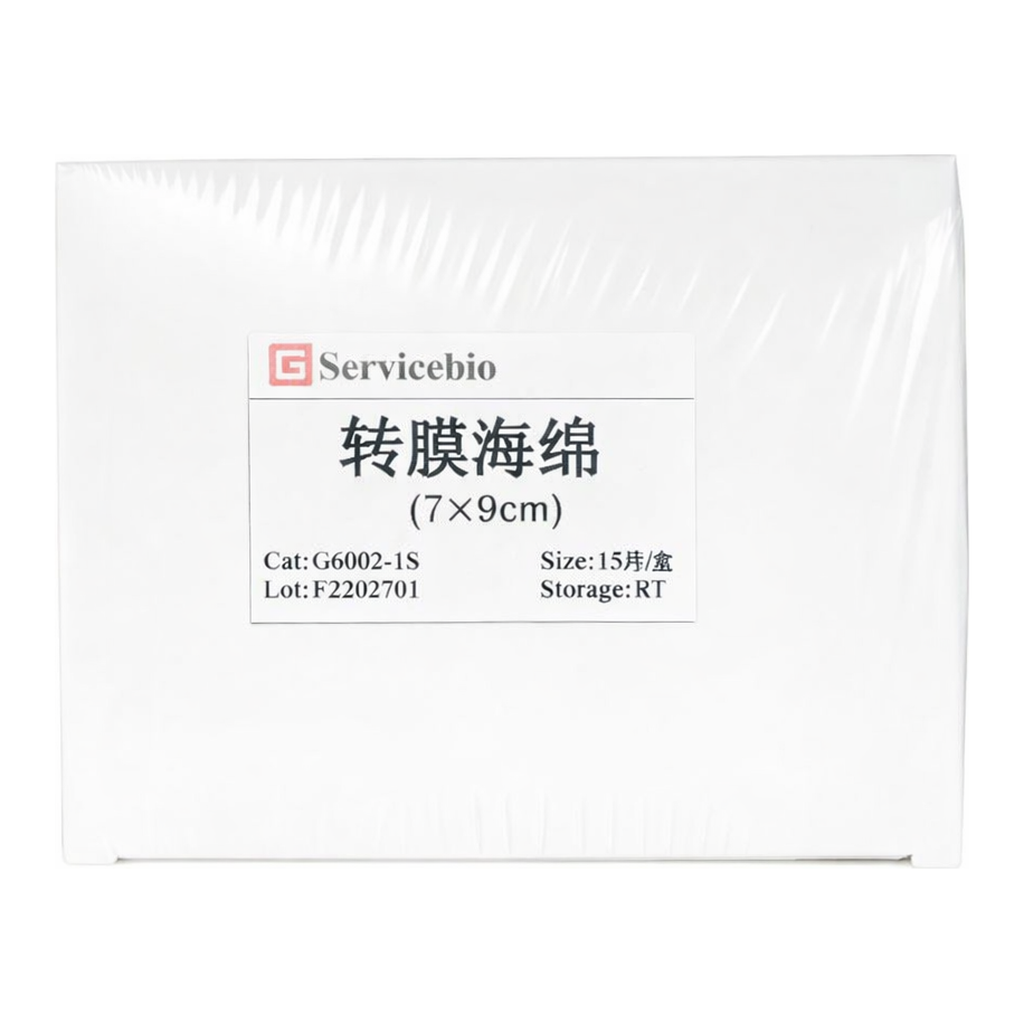 Servicebio Transfer Sponge