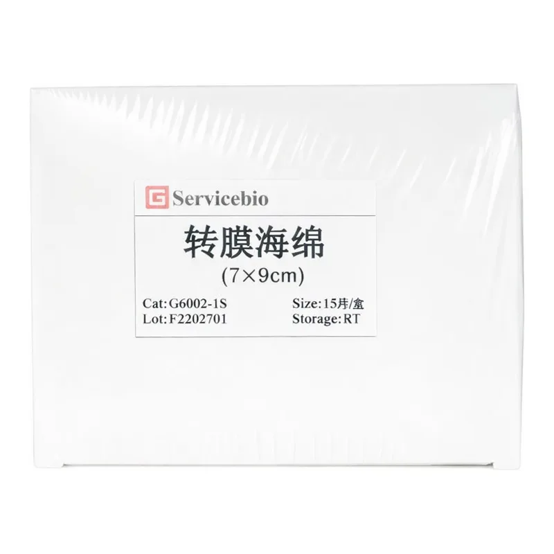 Servicebio Transfer Sponge