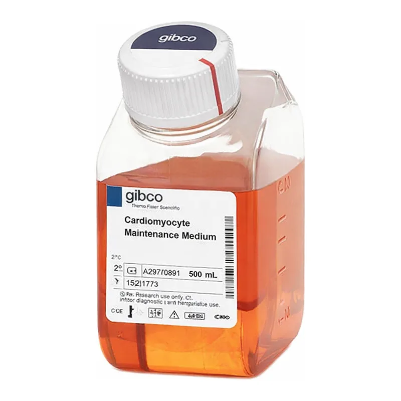 Thermo Fisher Scientific PSC Cardiomyocyte Maintenance Medium