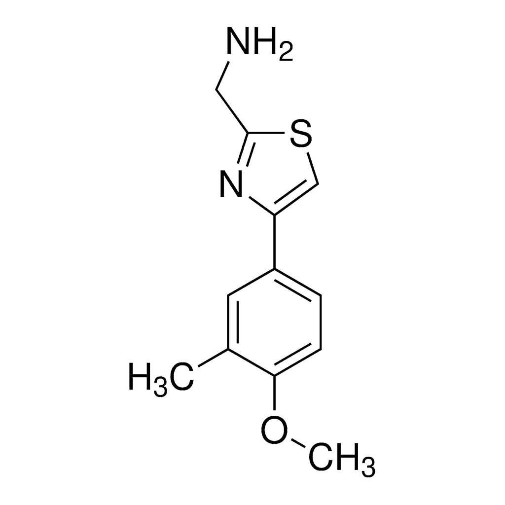 Merck [4-(4-methoxy-3-methylphenyl)-1,3-thiazol-2-yl]methanamine