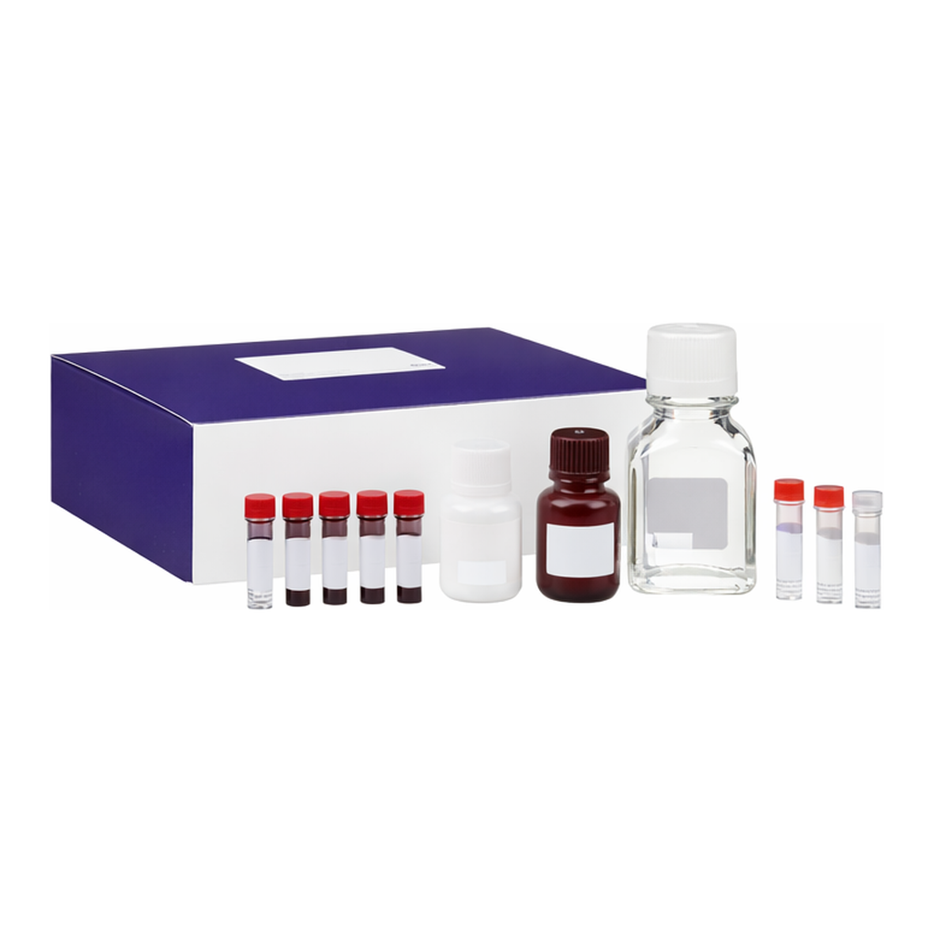 BD Human Intracellular Cytokine Staining Starter Kit