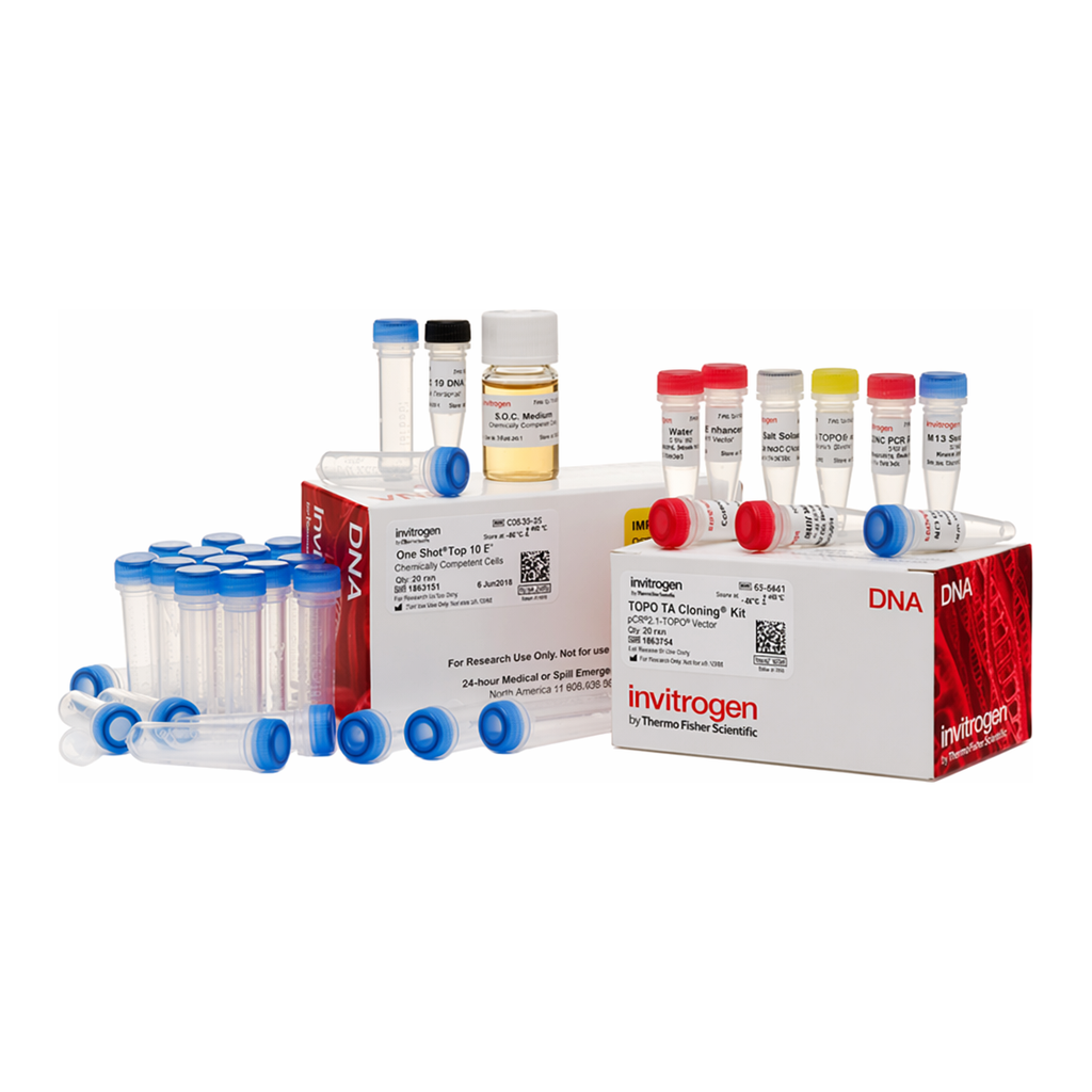 Thermo Fisher Scientific TOPO TA Cloning Kit for Subcloning, with TOP10F` E. coli, 25 Reactions