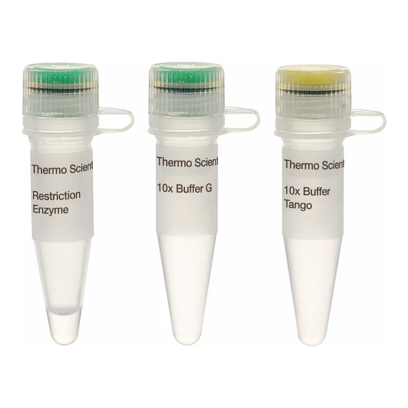 Thermo Fisher Scientific MnlI (10 U/μL), 300 units