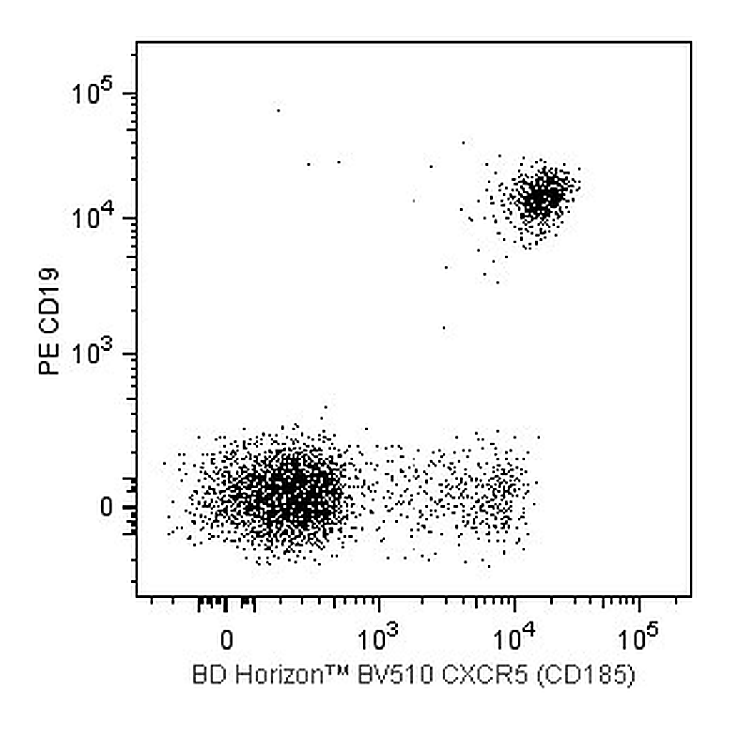 BD BV510 Rat Anti-Human CXCR5 (CD185)