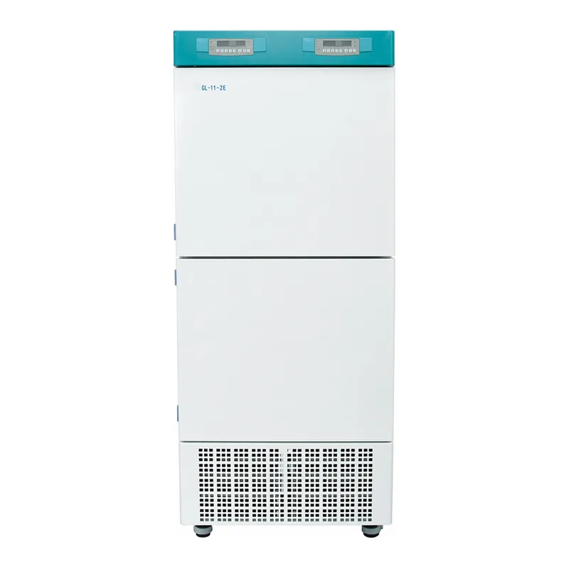Jeiotech 저온 배양기 (강제 순환), 2 챔버, Low Temp. Incubator, 2-chambers