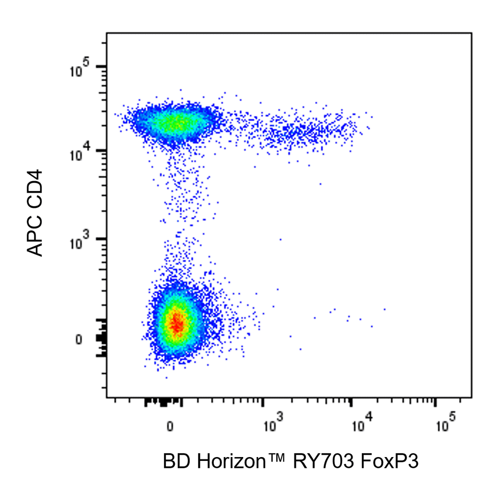 BD RY703 Mouse Anti-Human FoxP3