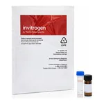 Thermo Fisher Scientific Click-iT Cell Reaction Buffer Kit