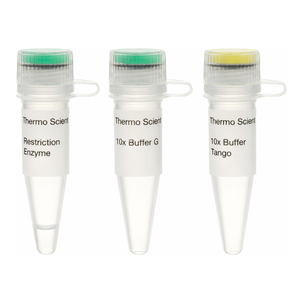 Thermo Fisher Scientific Eco31I (BsaI) (10 U/&mu;L), 1,000 units