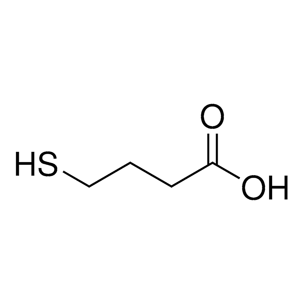 Merck 4-MERCAPTOBUTYRIC ACID-