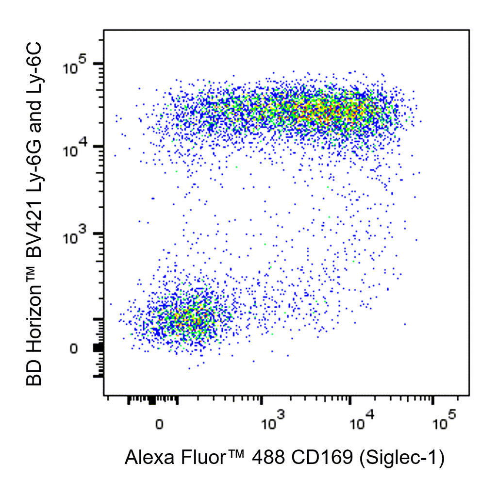 BD Alexa Fluor 488 Rat Anti-Mouse CD169 (Siglec-1)