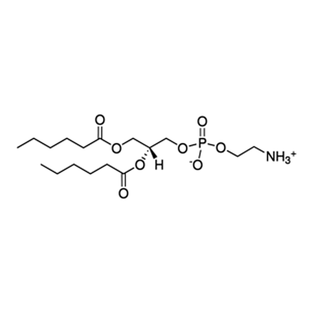 Merck 06:0 PE