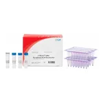 Intron e-Myco™ plus Mycoplasma PCR Detection Kit