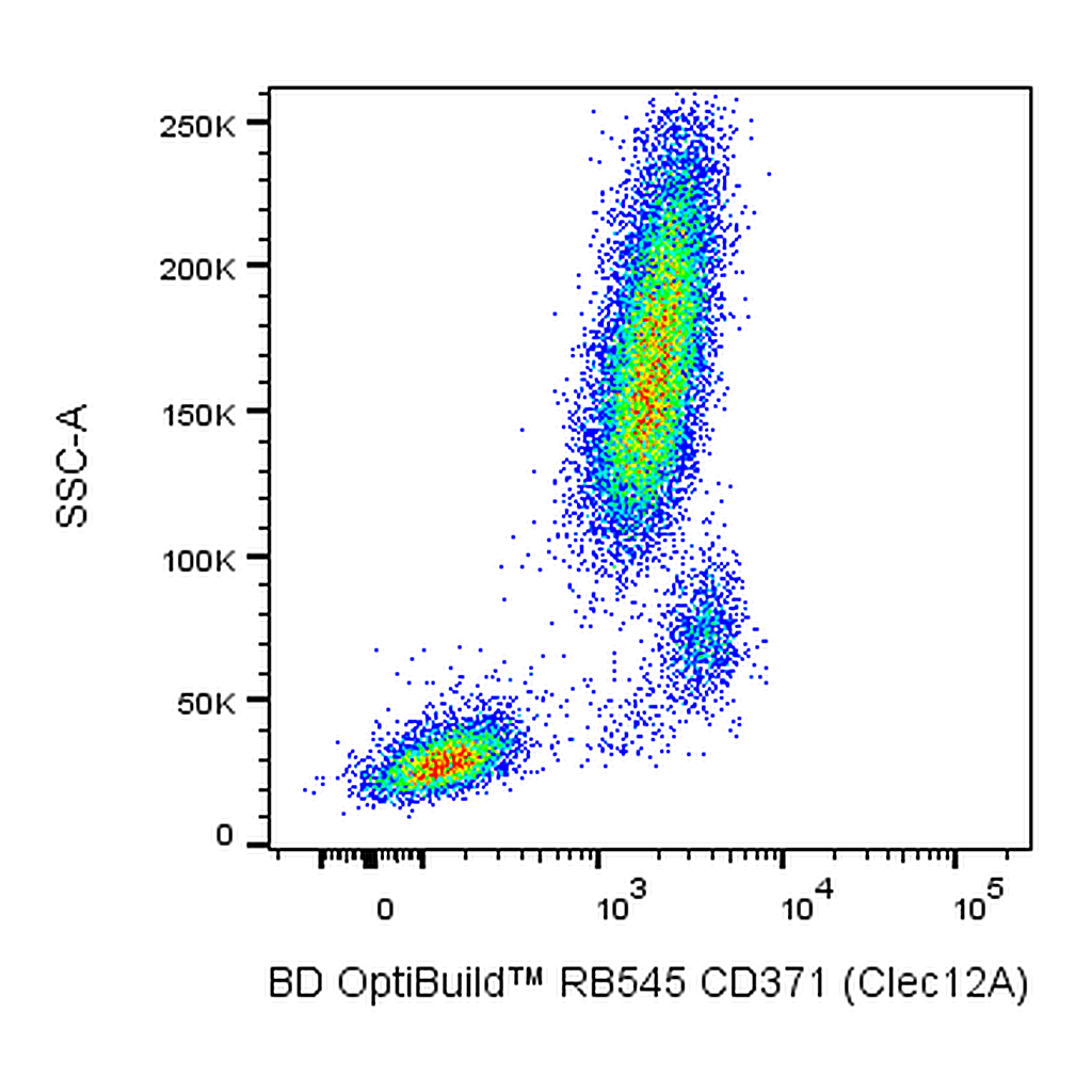 BD RB545 Mouse Anti-Human CD371 (Clec12A)