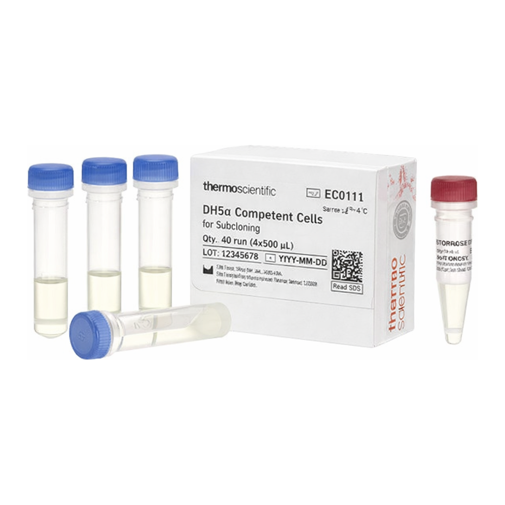 Thermo Fisher Scientific DH5α Competent Cells for Subcloning