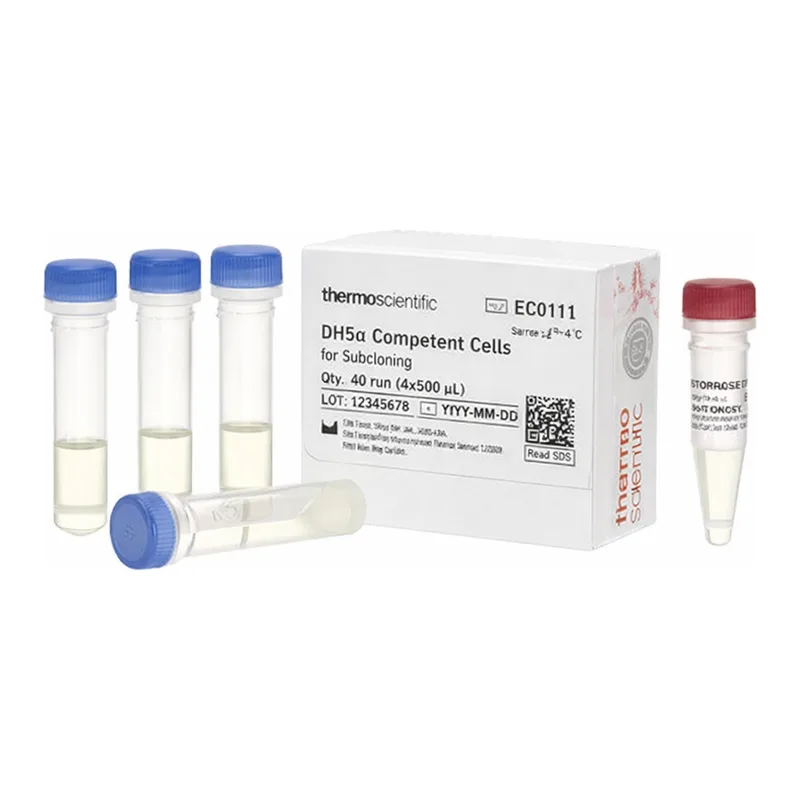 Thermo Fisher Scientific DH5α Competent Cells for Subcloning