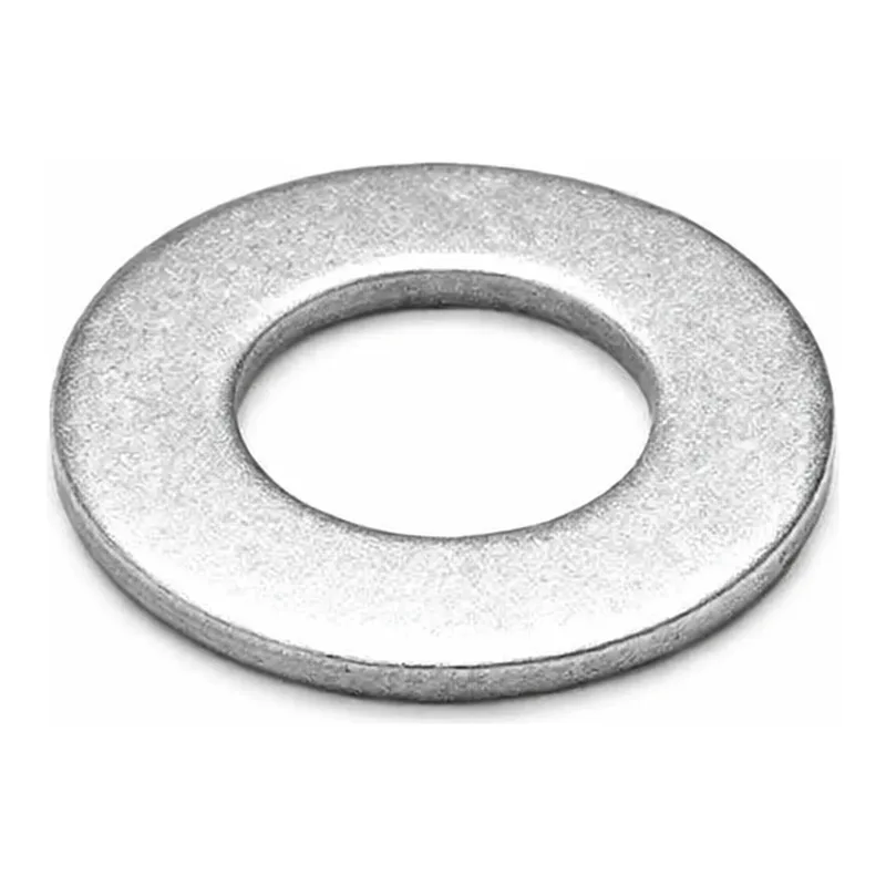 Waters Washer, Plain, M6, 20/pk