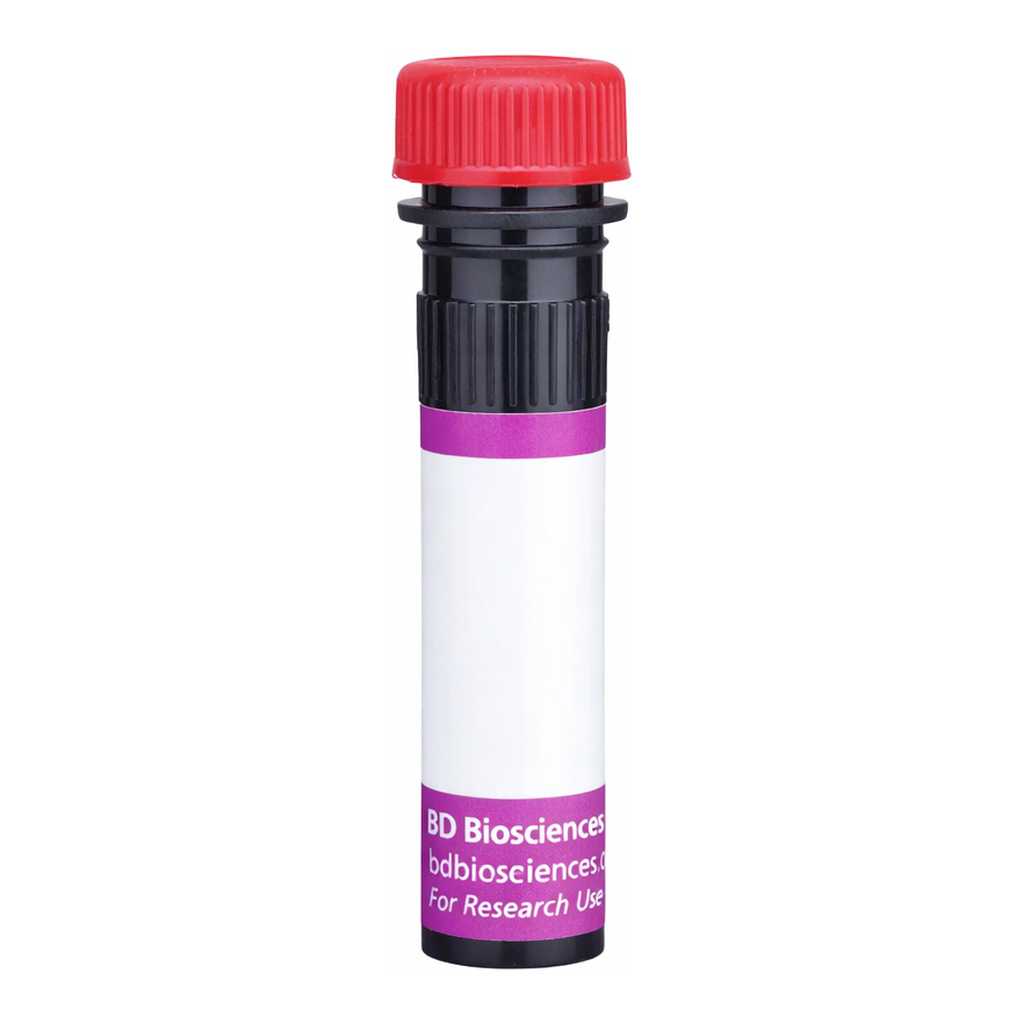 BD BV711 Hamster Anti-Mouse Vδ 6.3/2 TCR