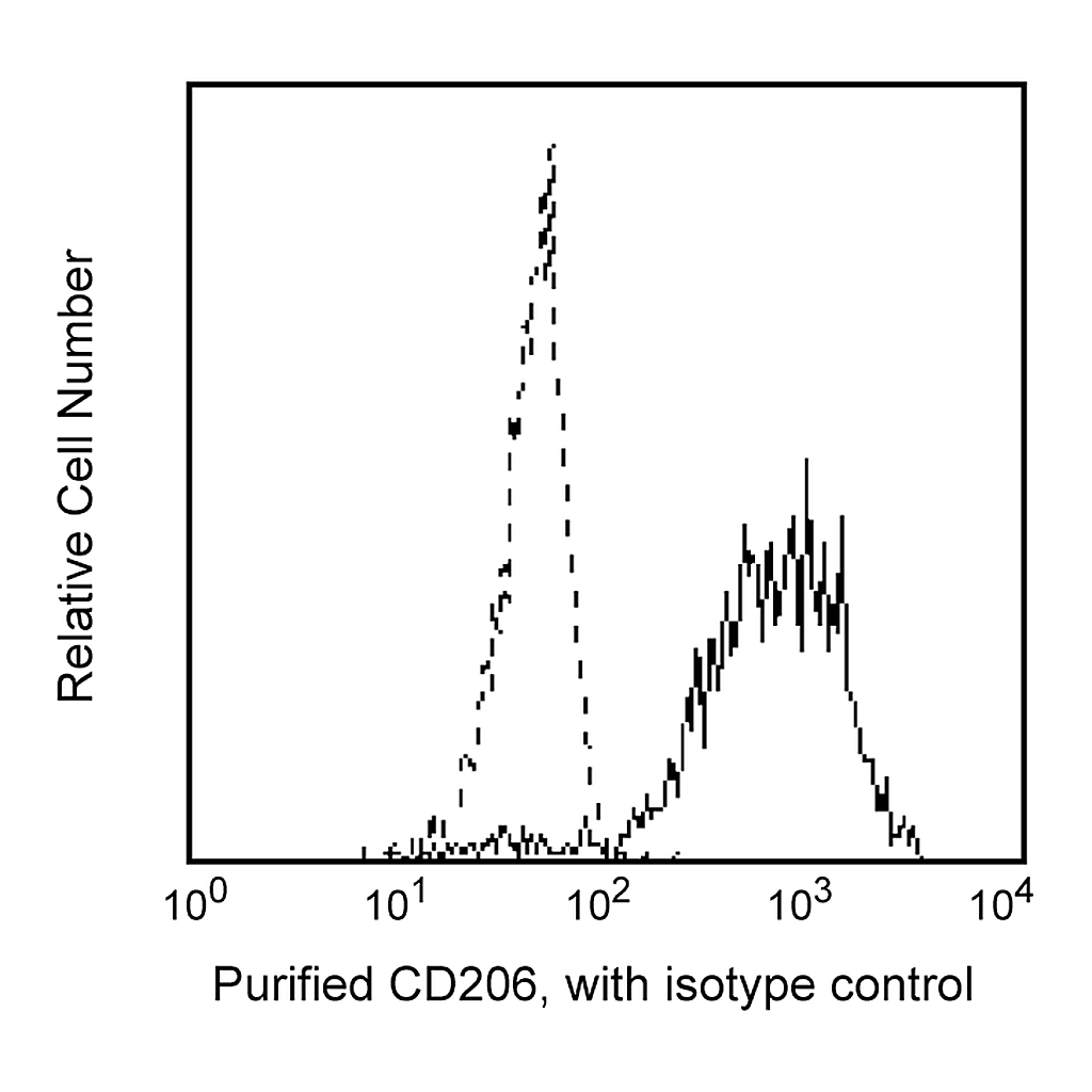 BD Purified Mouse Anti-Human CD206