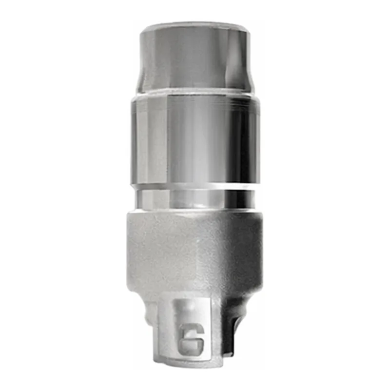 Waters Spring Loaded Primary Check Valve Assembly, THF