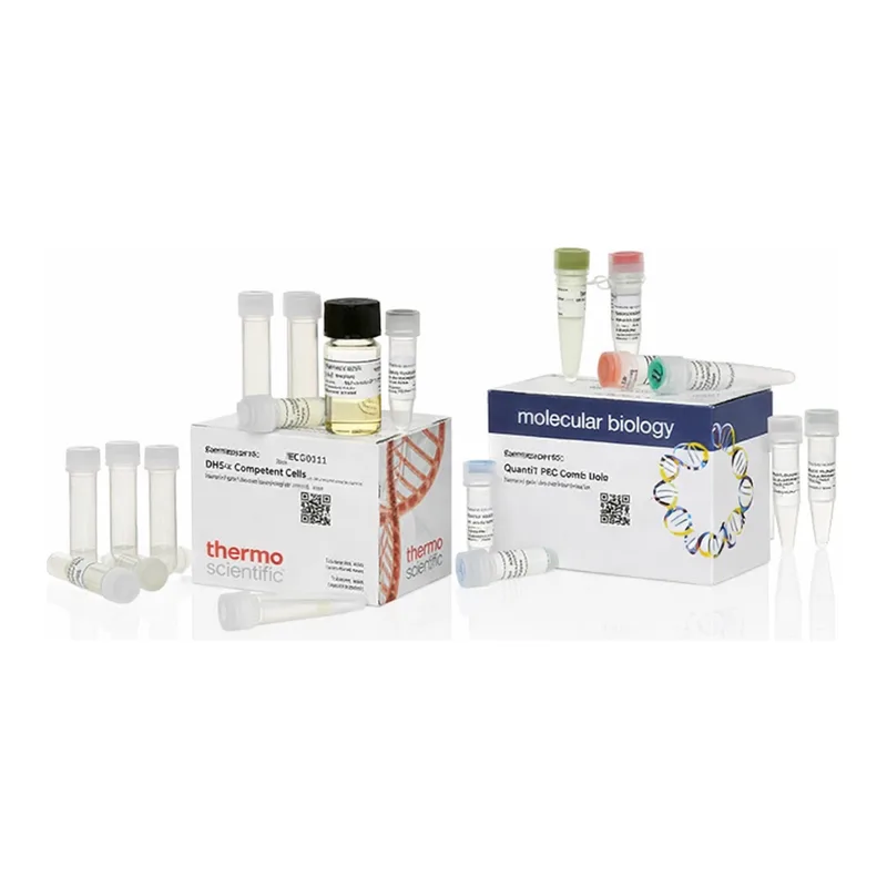 Thermo Fisher Scientific CloneJET PCR Cloning Kit with DH10B Competent Cells, 20 Reactions