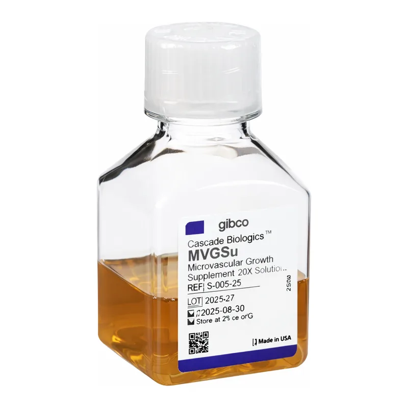 Thermo Fisher Scientific Microvascular Growth Supplement (MVGS)