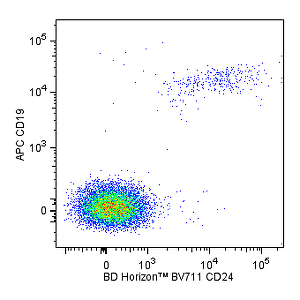 BD BV711 Mouse Anti-Human CD24