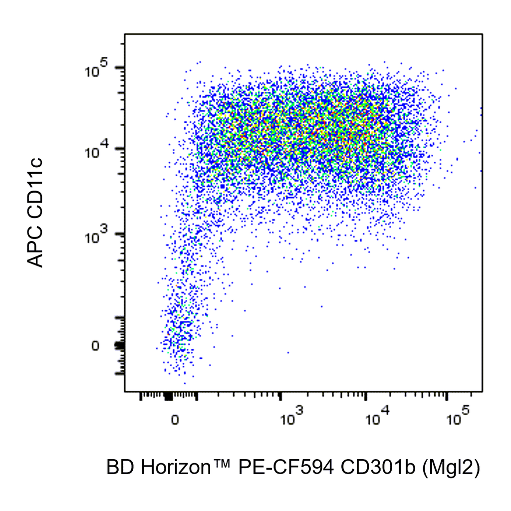 BD PE-CF594 Rat Anti-Mouse CD301b (Mgl2)
