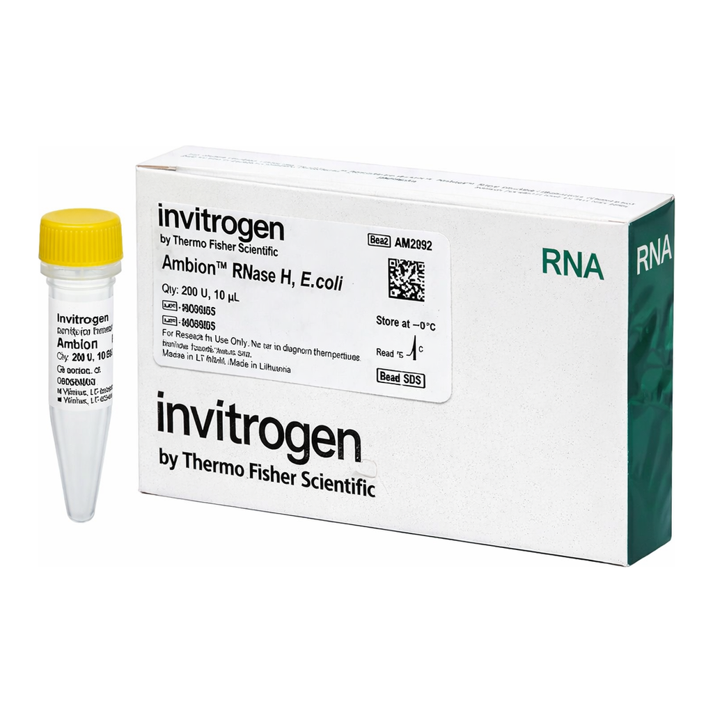 Thermo Fisher Scientific Ribonuclease H, from E. coli (cloned) 10 U/μL, 200 U