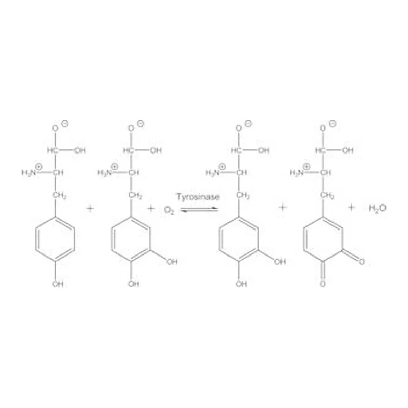 Merck TYROSINASE