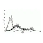 Thermo Fisher Scientific Goat anti-Mouse IgM (Heavy chain) Cross-Adsorbed Secondary Antibody, PE