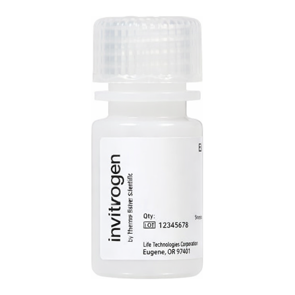 Thermo Fisher Scientific FluoSpheres Amine-Modified Microspheres, 0.2 &mu;m, yellow-green fluorescent (505/515), 2% solids
