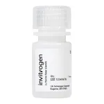 Thermo Fisher Scientific FluoSpheres Amine-Modified Microspheres, 0.2 μm, yellow-green fluorescent (505/515), 2% solids