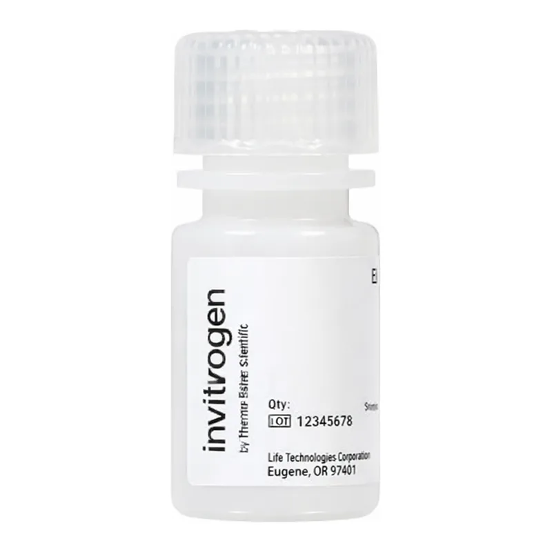 Thermo Fisher Scientific FluoSpheres Amine-Modified Microspheres, 0.2 μm, yellow-green fluorescent (505/515), 2% solids