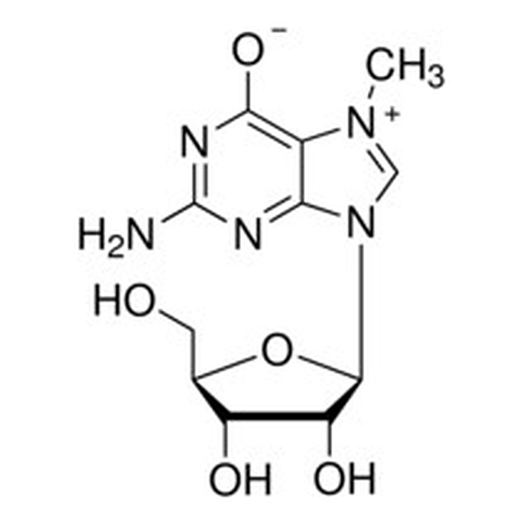 Merck 7-METHYLGUANOSINE