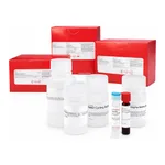 Merck BETA-LACTAMASE ACTIVITY ASSAY KIT