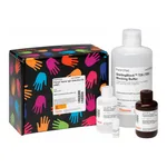 Thermo Fisher Scientific Clean-Blot IP Detection Kit (HRP)