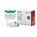 Thermo Fisher Scientific CorrectASE Enzyme