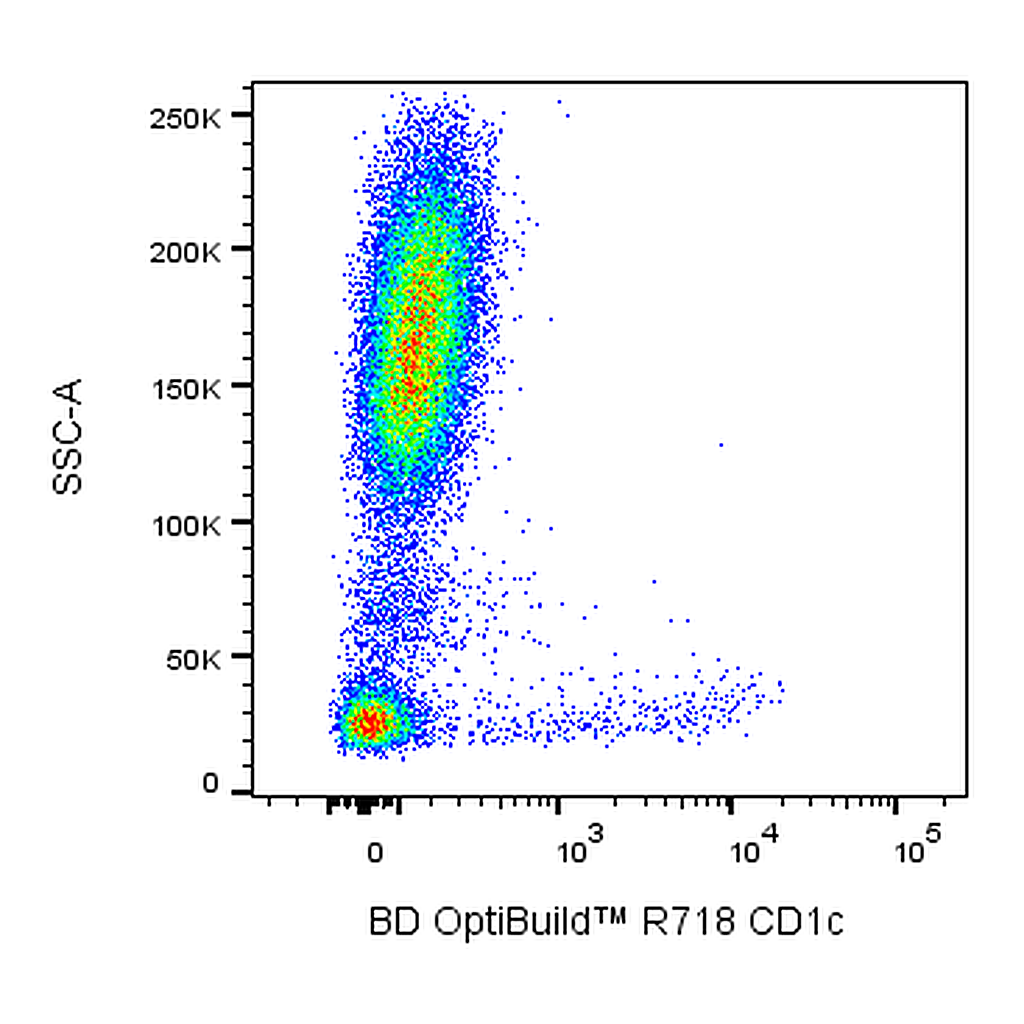 BD R718 Mouse Anti-Human CD1c
