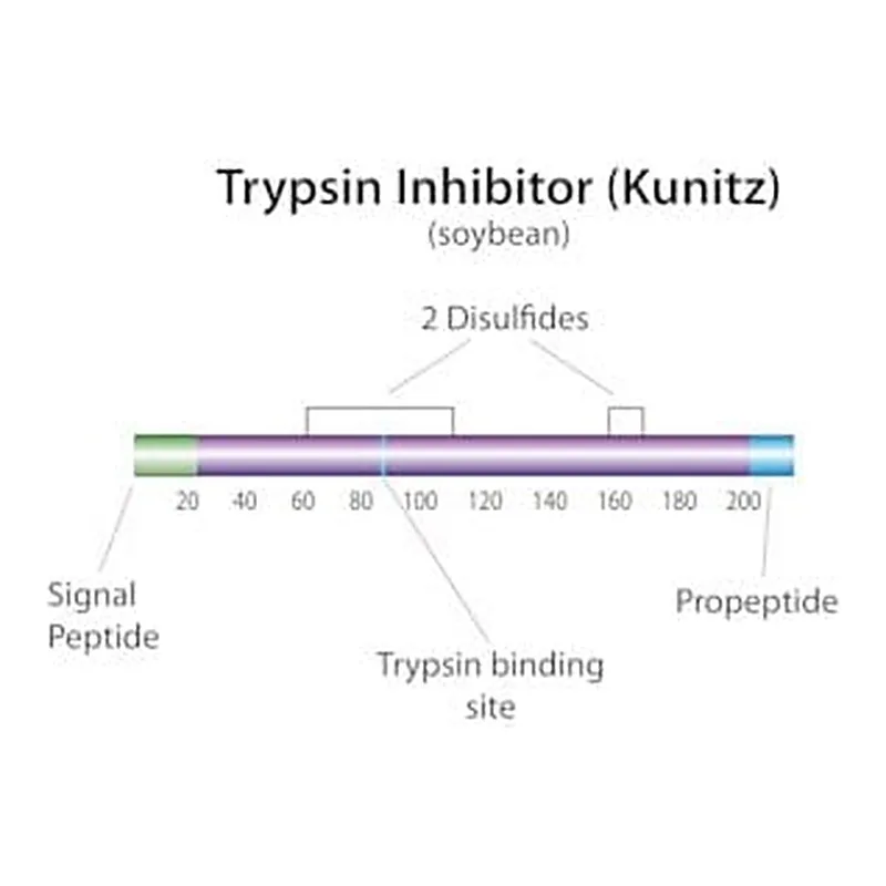 Merck TRYPSIN INHIBITOR TYPE II-S