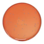 Himedia Nutrient Agar, Granulated