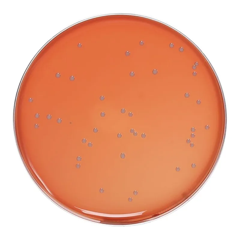 Himedia Nutrient Agar, Granulated