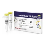 Thermo Fisher Scientific EheI (SfoI) (10 U/μL)