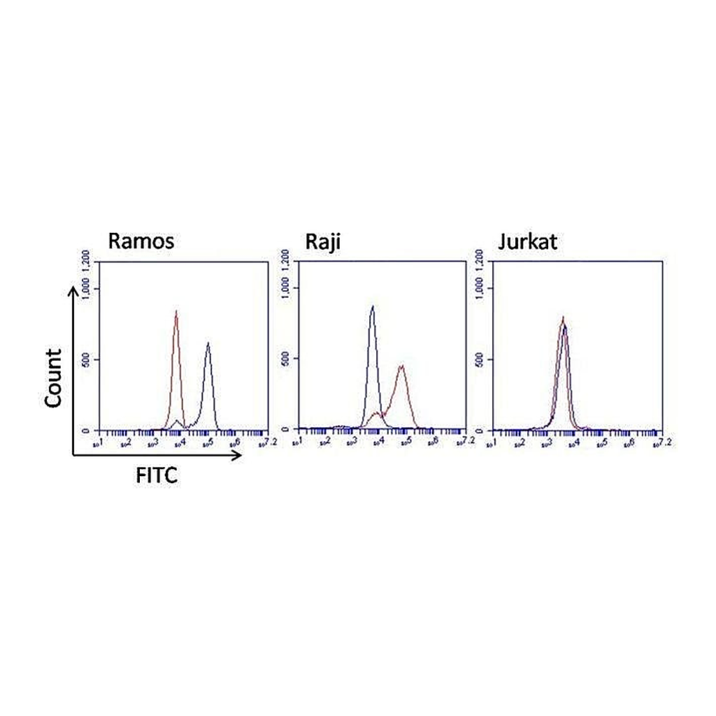 Thermo Fisher Scientific Goat anti-Mouse IgG Fc Cross-Adsorbed Secondary Antibody, FITC
