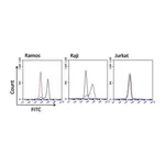 Thermo Fisher Scientific Goat anti-Mouse IgG Fc Cross-Adsorbed Secondary Antibody, FITC