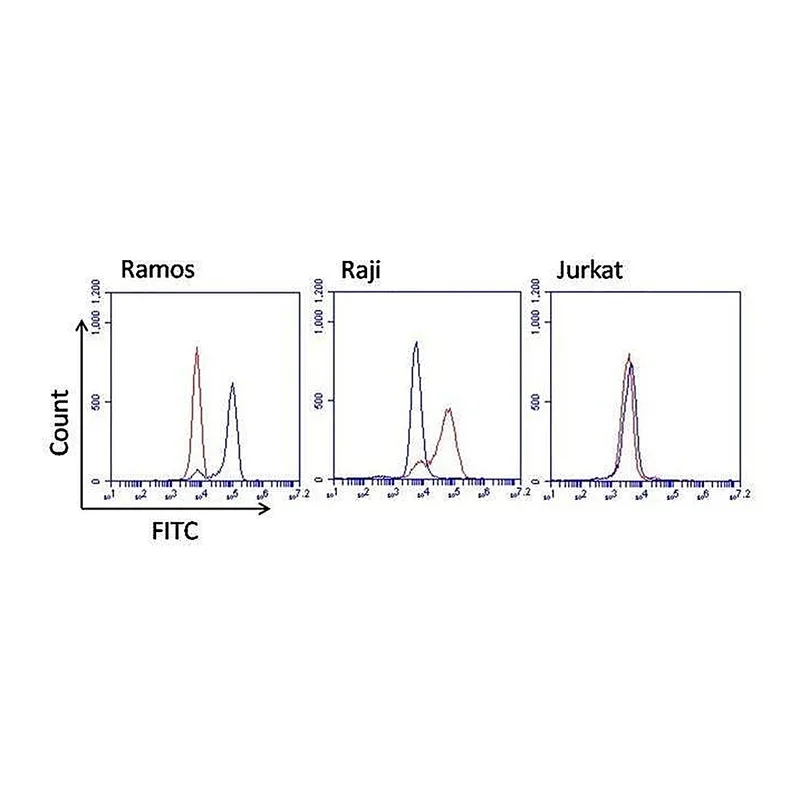 Thermo Fisher Scientific Goat anti-Mouse IgG Fc Cross-Adsorbed Secondary Antibody, FITC